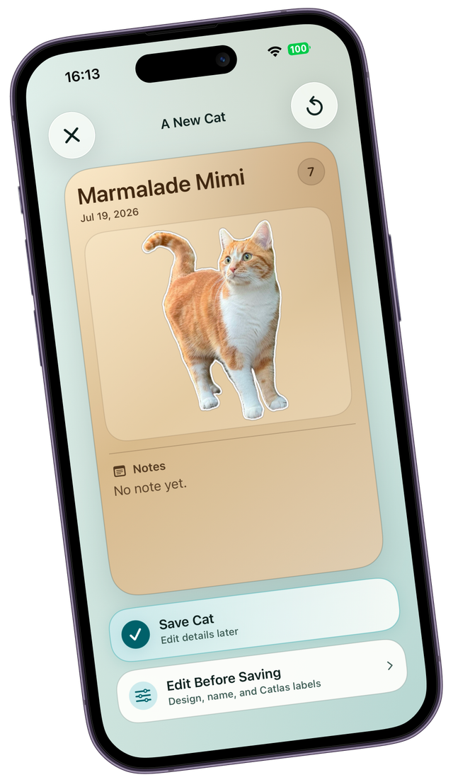 The same orange-and-white cat transformed into a genuine CatLocal collectible card.
